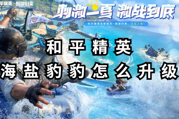 和平精英海盐豹豹怎么升级