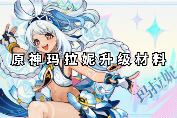 原神玛拉妮升级材料