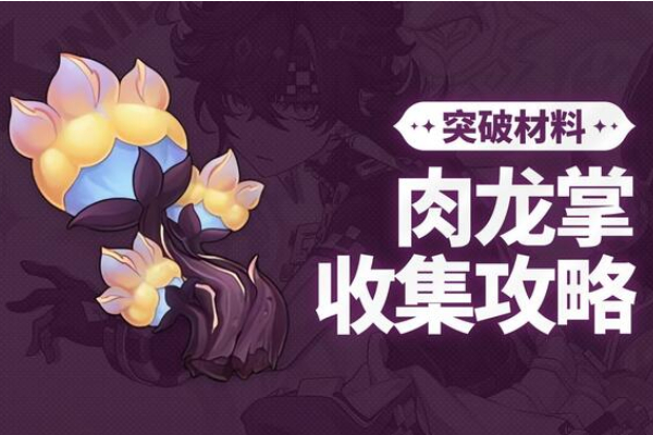 原神肉龙掌采集路线