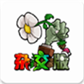 植物大战僵尸杂交版