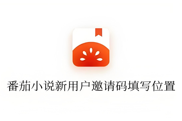 番茄小说新用户在哪里填写邀请码