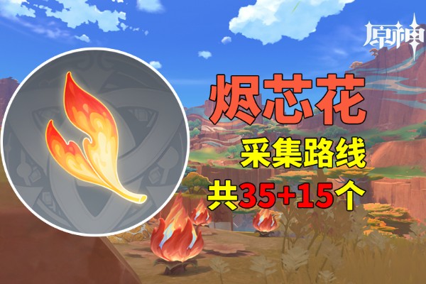 原神烬芯花在哪里