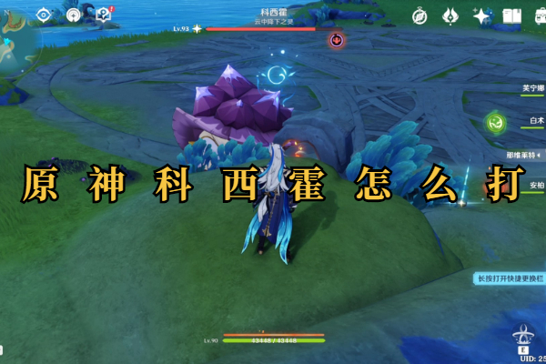原神科西霍怎么打