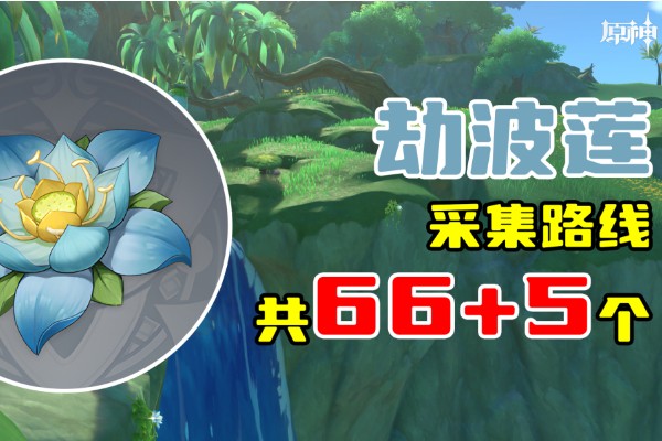 原神劫波莲采集位置
