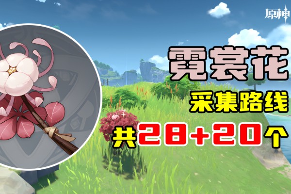 原神霓裳花采集地点路线地图