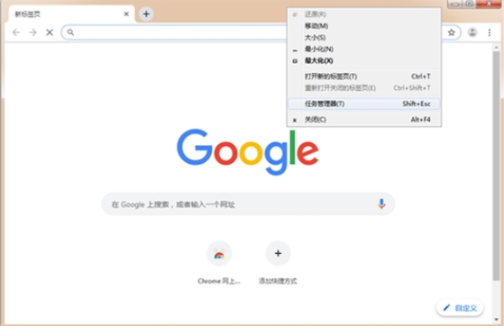 Google Chrome v88.0.4324 便携增强版
